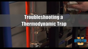 Steam Traps | Troubleshooting Thermodynamic Trap - Weekly Boiler Tips