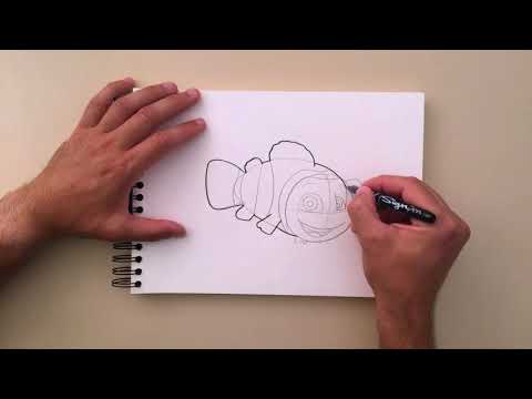 How To Draw a Clown Fish