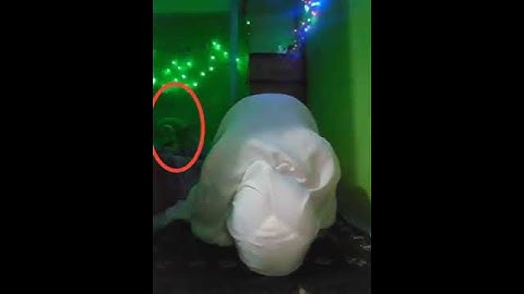 Hantu kaget