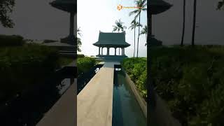 Centara Reserve Samui #travel #beach #viral #trending #shorts #ytshorts #youtubeshorts #love #ocean