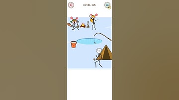 Thief Puzzle - level 215