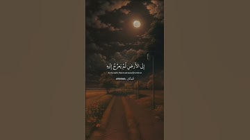 #سورة_السجدة #عبدالرحمن_مسعد #ارح_قلبك #تلاوات_خاشعة  #اترك_اثرا_طيبا_بذكر_الله #dance #motivation