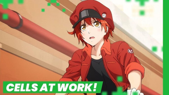 CELLS AT WORK! COM UMA MÉDICA, ANIME vs VIDA REAL