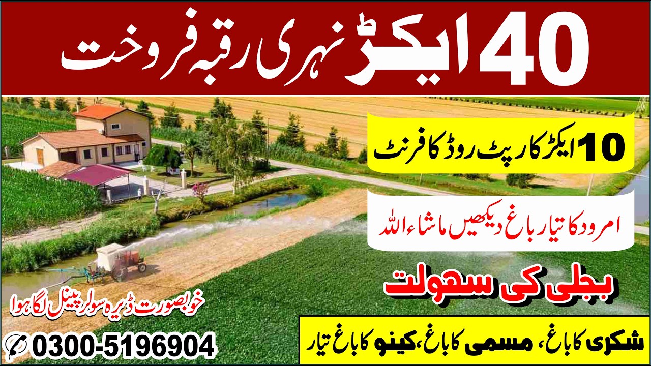 Land For Sale | 40 Acre Agriculture Land For Sale | Zari Zameen