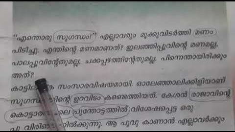 Std 2 Integration Unit 04 Class14 Whiteboard CP