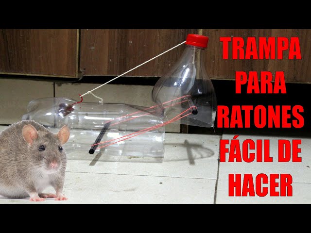 24 hours to serve you viral: joven atrapa a ratones con ingenioso truco  casero usando latas de gaseosas, YouTub, YT, Animales, Roedores, Asiáticos,  Trucos, Redes Sociales, Video viral, Tendencias, trampas para ratones