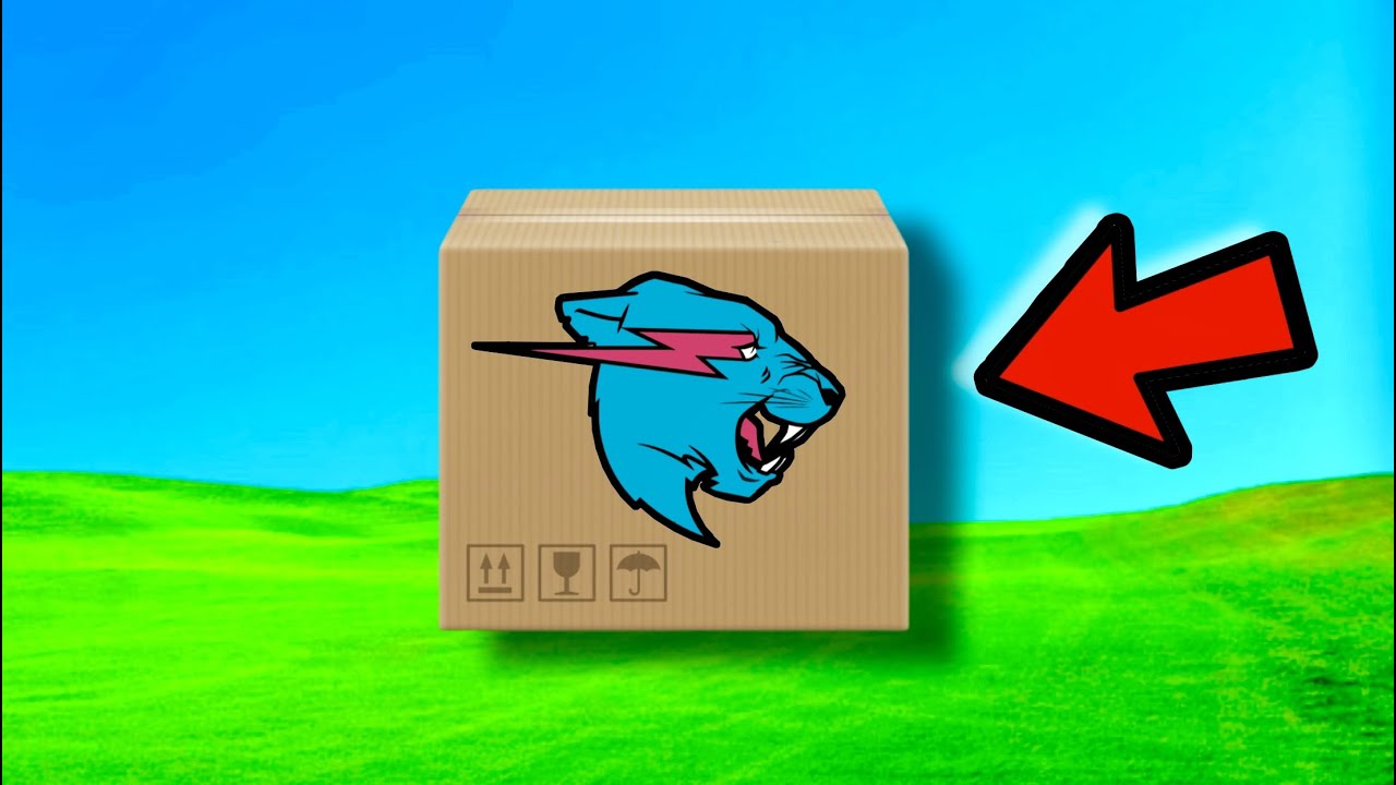 MrBeast Sent Me A Package