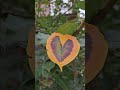 Осень 🍂 — время незабываемых мгновений и ярких красок.
