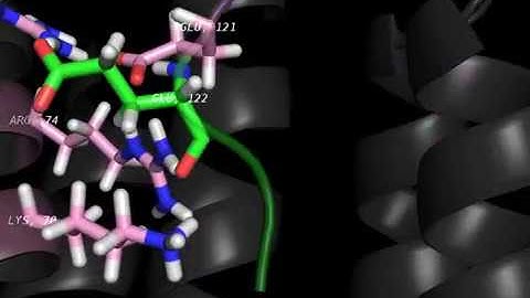 PyMOL Movie Demo and scripts