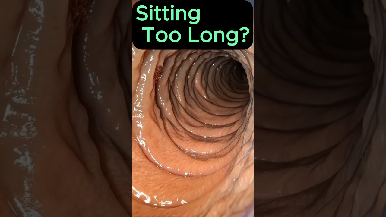  Sitting Too Long See How It Slows Your Intestines Shocking Gut Health Animation
