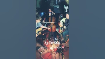 Thumbnail of Little Bird - Hebble (Tim Edey tune) played on Cello