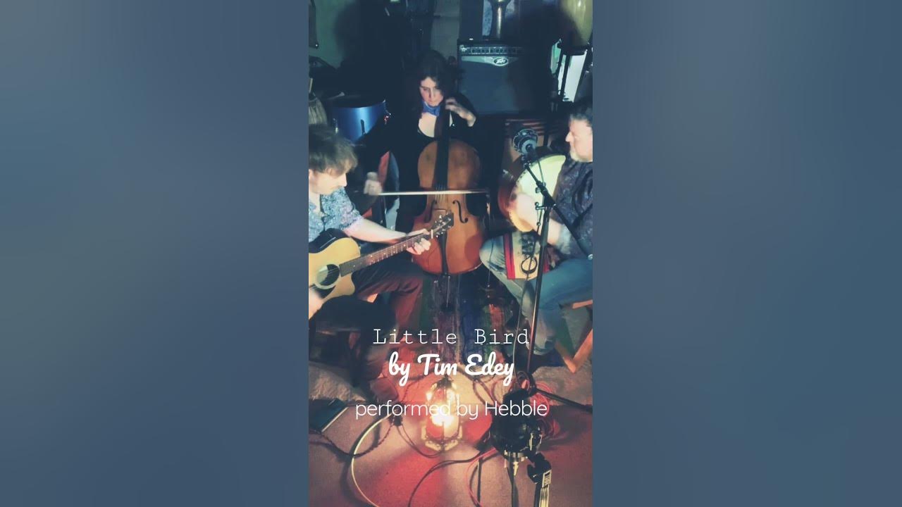 Little Bird - Hebble (Tim Edey tune) played on Cello