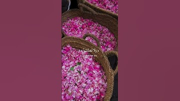 ٱجۡتَنِبُواْ كَثِيرٗا مِّنَ ٱلظَّنّ ِ| من سورة الحجرات بصوت القارئ احمد خضر | راحة نفسية