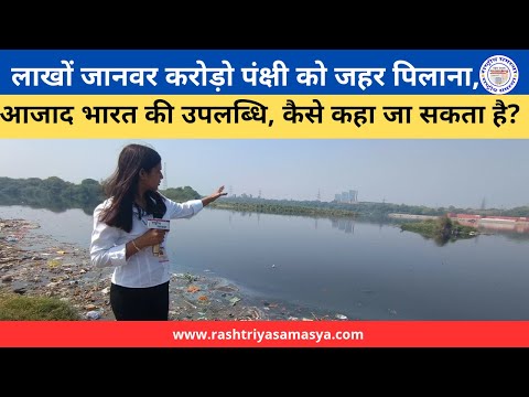 क्या कानून जिंदा है यमुना के लिए...? #rashtriyasamasya