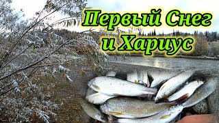 Ловля хариуса в первый снег ☝. Рыбалка на реке Бия на удочку.