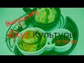 &quot;ВКУС КУЛЬТУРЫ&quot; 5 выпуск. Гость программы - Лариса Массалова.