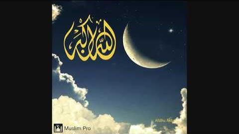 صلاة التراويح من مسجد بابا موسى البليدة .. 22/06/2016 .. اواخر سورة النمل .. للقارئ منير مولودي