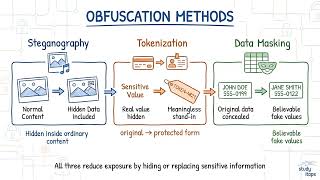 Obfuscation Techniques for Protecting Code and Data | CompTIA Security+ SY0-701