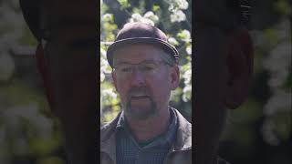 Growing And Mowing Gr Is Key To Solar Capture On Any Farm.