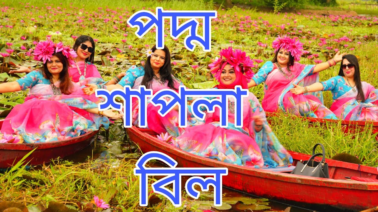 শাপলা বিল| Poddo Shapla Bill Resort| মাত্র ৫০ টাকা এন্টি ফি| Shila with Viewers