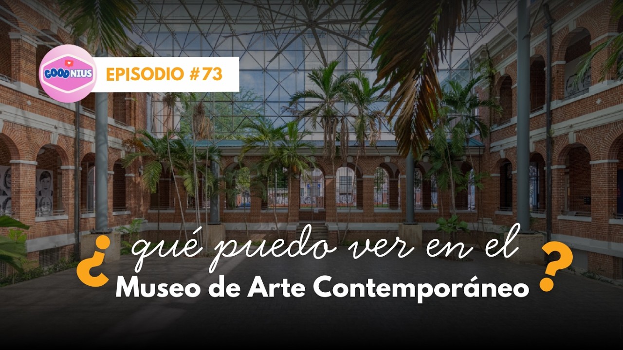 Arte que transforma: El impacto del MAC en Puerto Rico