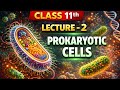 Prokaryotic Cell Explained | Cell: The Unit of Life | Lecture 2 | Class 11 Biology