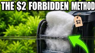 The Forbidden $2 Method That Keeps Your Tank Crystal Clear Without Any Products Forever