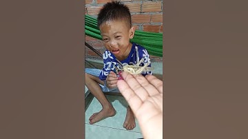 Cào Cào Cắn Rốn Có Biết Bơi