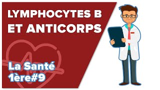 Immunité adaptative 2 : Lymphocytes B et Anticorps - SVT - SANTÉ 1ère spé #9 - Mathrix