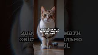 Цікавий факт про Котів №4  #факти #facts #наука #коти