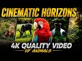 4K Quality Video of Animals | Cinematic Horizons 🌿🦜 —//— 29 May 2026