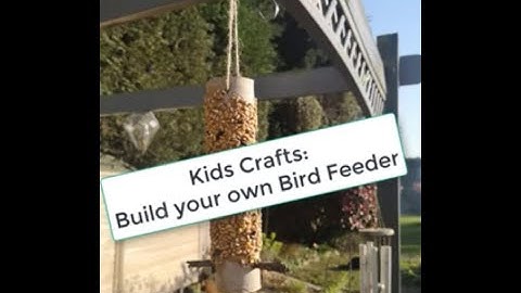 Kids crafts: How to make your own Bird Feeder with stuff from home!