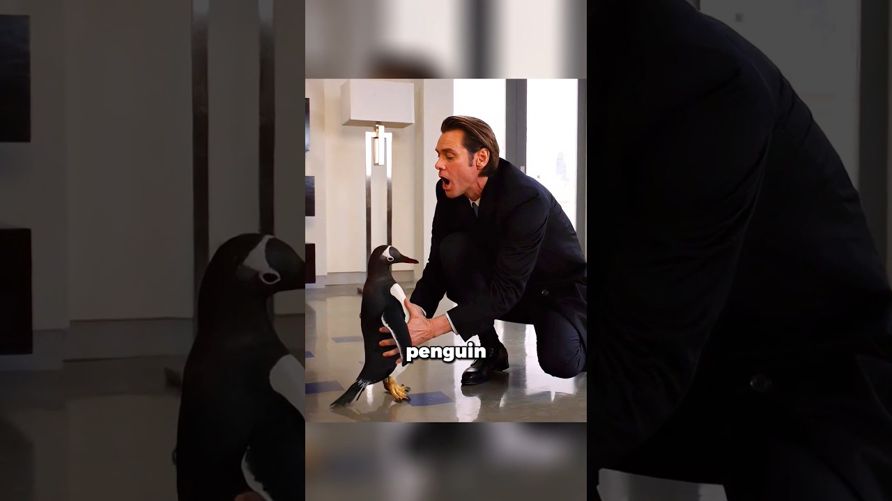 ⁣Man received a penguin as an inheritance 🤣 #shorts #viral #movies #cinemarecap