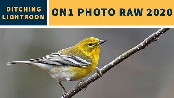 Ditching Lightroom | On1 Photo RAW 2020 Workflow + a killer feature