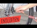 Shimano Scheibenbremse entlüften/auffüllen (Hydraulik) - einfach & schnell - Fahrrad.org