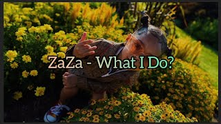 ZaZa - What I Do? (Lyrics)