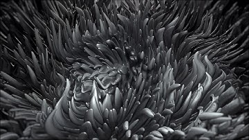 Algae Thing 4k Free Vj Loop