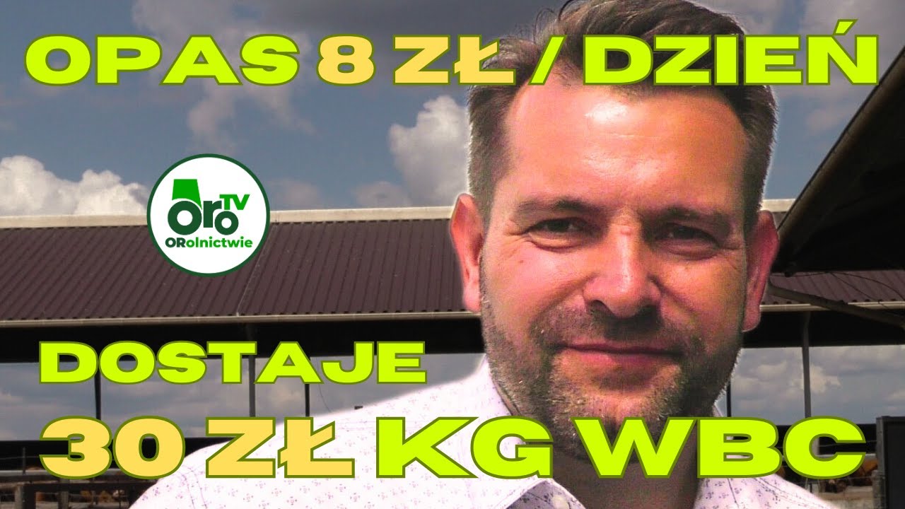 Rolnik z wyjątkowym bydłem i wielkimi marzeniami. Angusy prosto z USA 