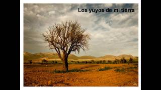 Video thumbnail of "Los yuyos de mi tierra"