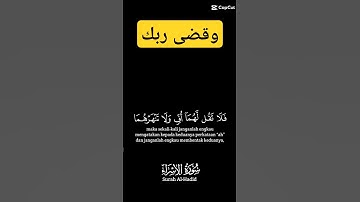 القران الكريم #quran Karen #viral #اكسبلور #foryou #دويتو #explore #تيك_توك #ترند #motivation #لايك