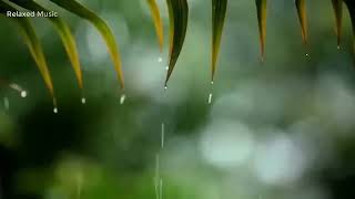 Rain Sounds \& Relaxing Music 24\/7 - Piano Music, Sleep, Study, Yoga, Stress Relief, Meditation