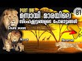 സിംഹങ്ങളുടെ പോരാട്ടങ്ങൾ  | Marsh Lions | Lion Coalitions of Masai Mara | Julius Manuel