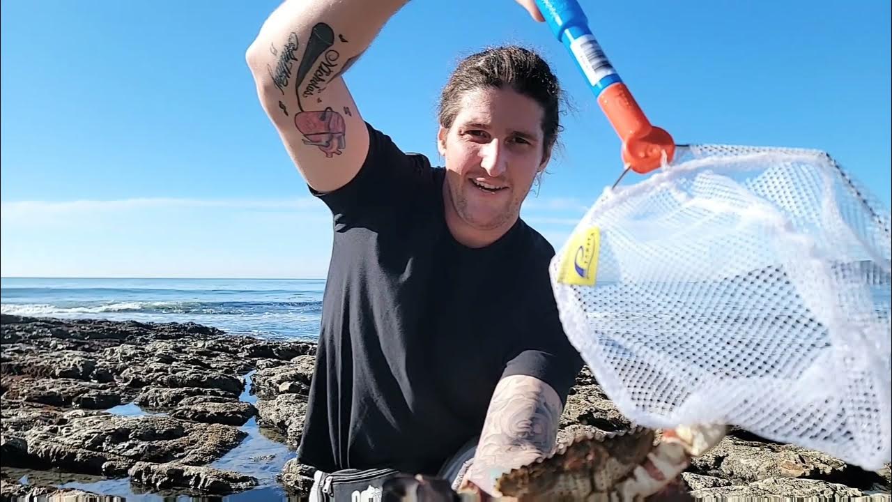 Shell Beach tide pools YouTube