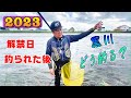 2023 鮎釣り 鮎釣り解禁日 午前中 釣られた後 どう釣る？