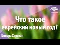 Что такое еврейский новый год. Ципора Харитан