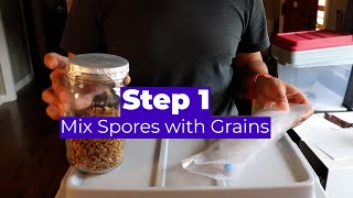 MiniTub Method Step 1 of 3: Mix Spores with Grains