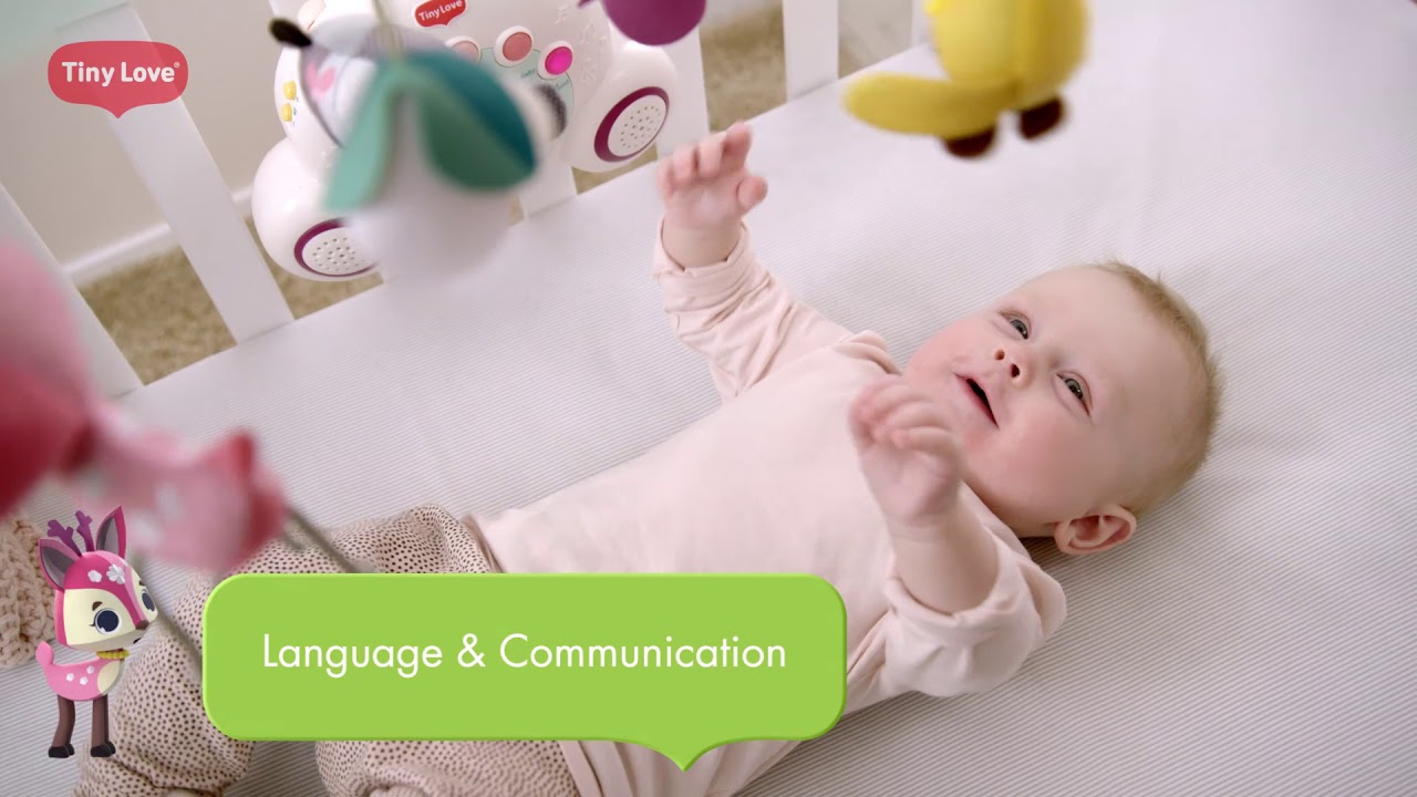 tiny love tiny princess soothe n groove mobile