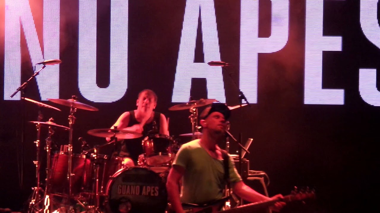 guano apes bel air chomikuj