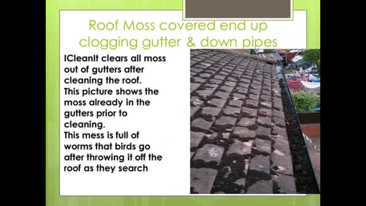 Roof Cleaning Surrey