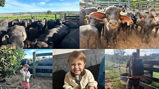 ALMOÇO AQUI NA ROÇA | WILLYS TRABALHANDO EM OUTRA FAZENDA | COMPRAS DA SEMANA 🥰